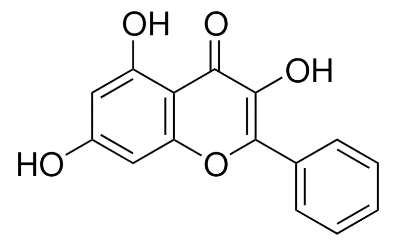 Sigma-Aldrich 高良姜黄素,phyproof®参考物质