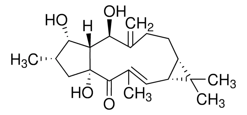 默克Supelco Lathyrol，phyproof®参考物质