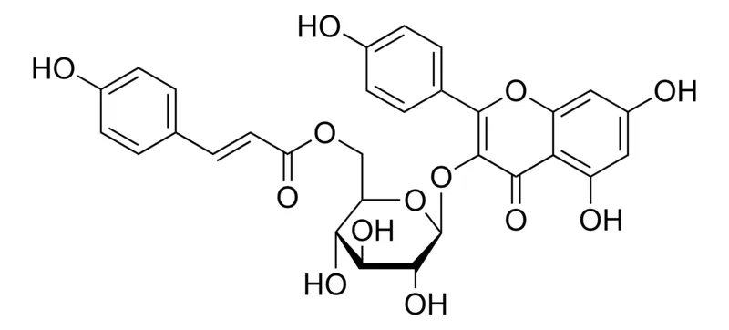 默克Supelco 山奈酚香豆酰基葡萄吡喃糖甙，phyproof®参考物质