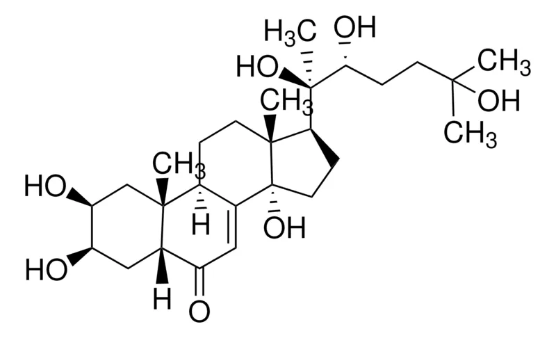 Sigma-Aldrich β-Ecdysone，phyproof®参考物质