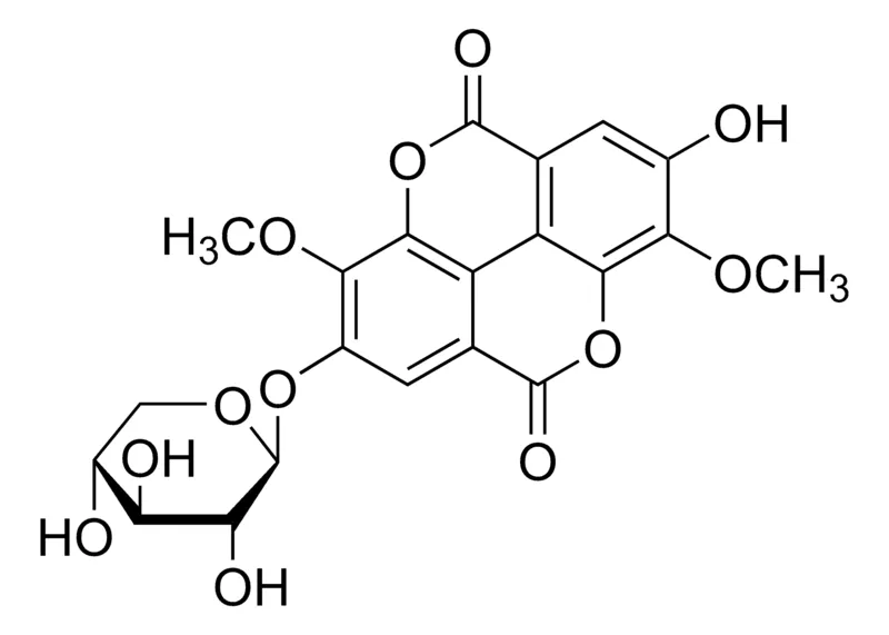 默克Supelco 3,3′-二-O-甲基鞣花酸4′-木吡喃糖苷，phyproof®参考物质