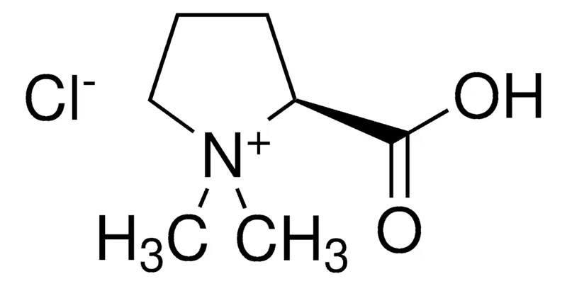 Sigma-Aldrich Stachydrine chloride,phyproof®参考物质
