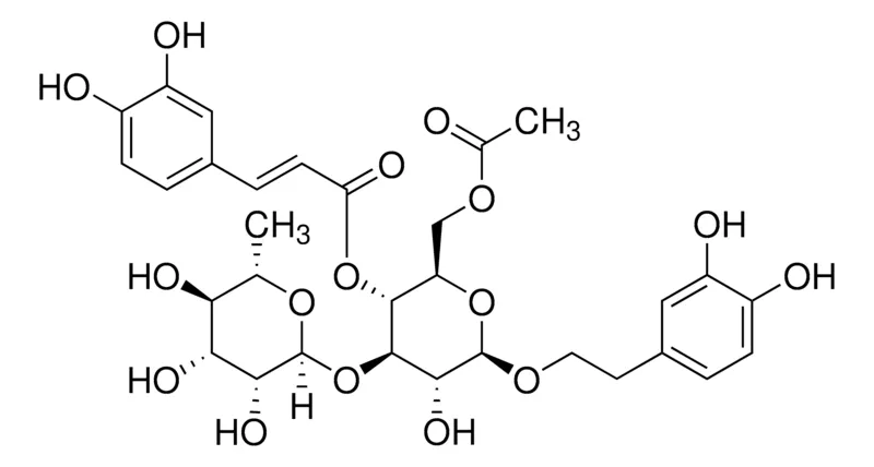 Sigma-Aldrich 6-Acetylacteoside，phyproof®参考物质