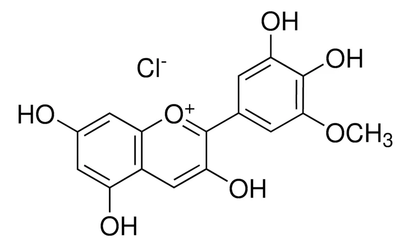 默克Supelco 氯化矮牵牛素，phyproof®参考物质