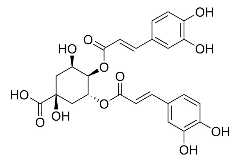 默克Supelco 4,5-Dicaffeoylquinic acid,phyproof®参考物质