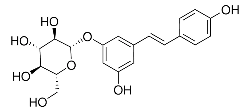 Sigma-Aldrich 反式虎杖苷，phyproof®参考物质