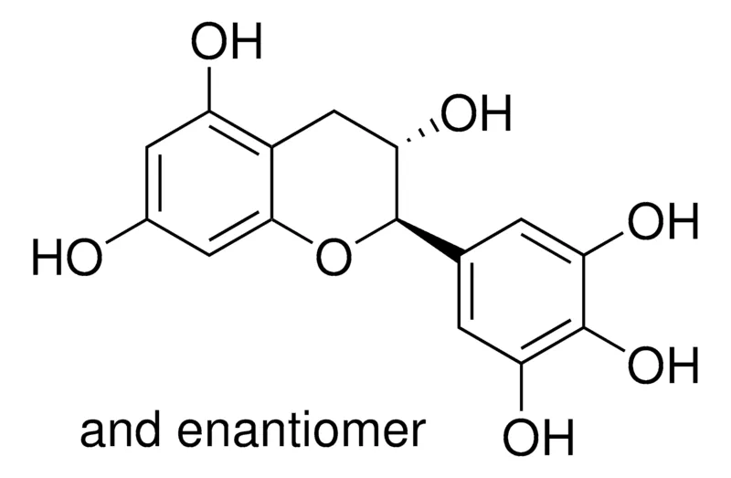 默克Supelco Gallocatechin，phyproof®参考物质