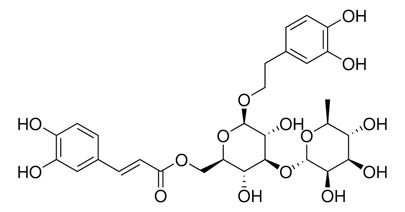 Sigma-Aldrich Isoverbascoside，phyproof®参考物质