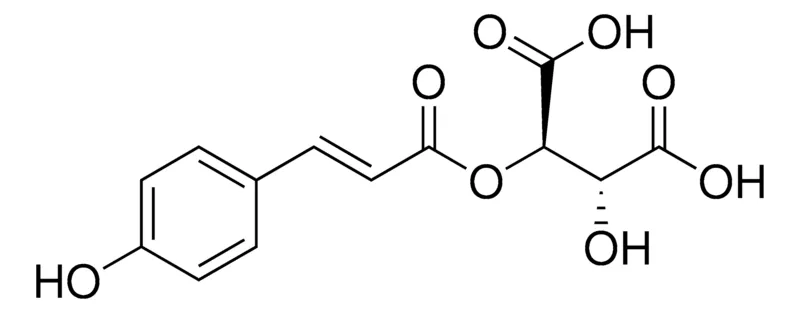 Sigma-Aldrich trans-Coutaric acid，phyproof®参考物质
