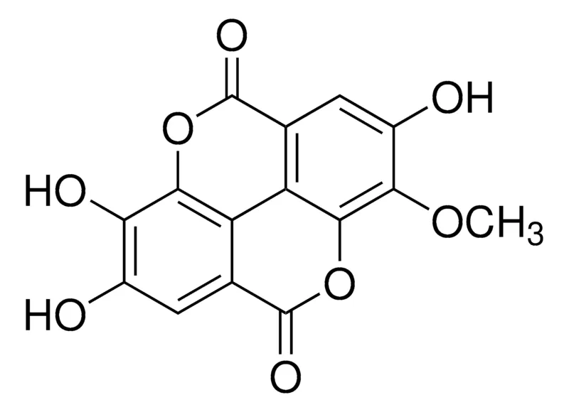 默克Supelco 3-甲基鞣花酸，phyproof®参考物质