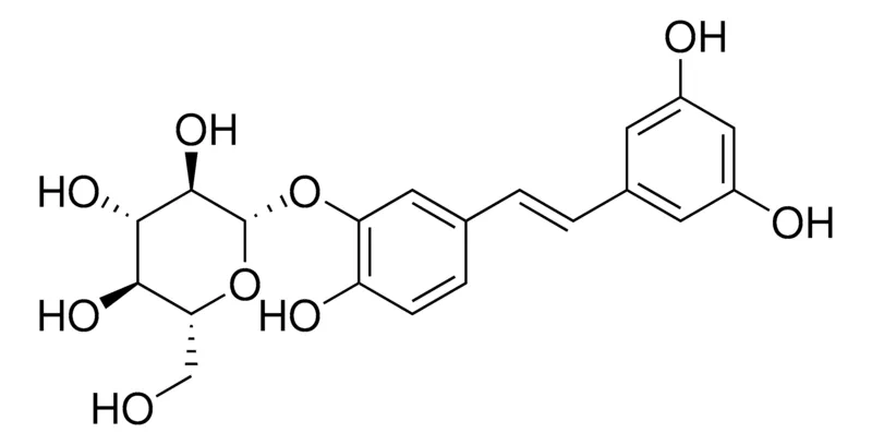 默克Supelco trans-Piceatannol 3′-glucoside，phyproof®参考物质