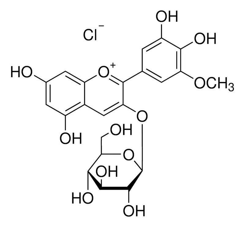 Sigma-Aldrich 矮牵牛素3-O-β-D-葡萄糖苷氯化物，phyproof®参考物质