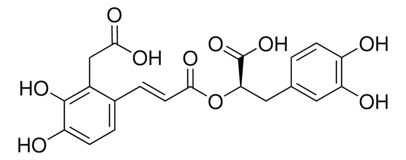 默克Supelco Salvianolic acid D,phyproof®参考物质