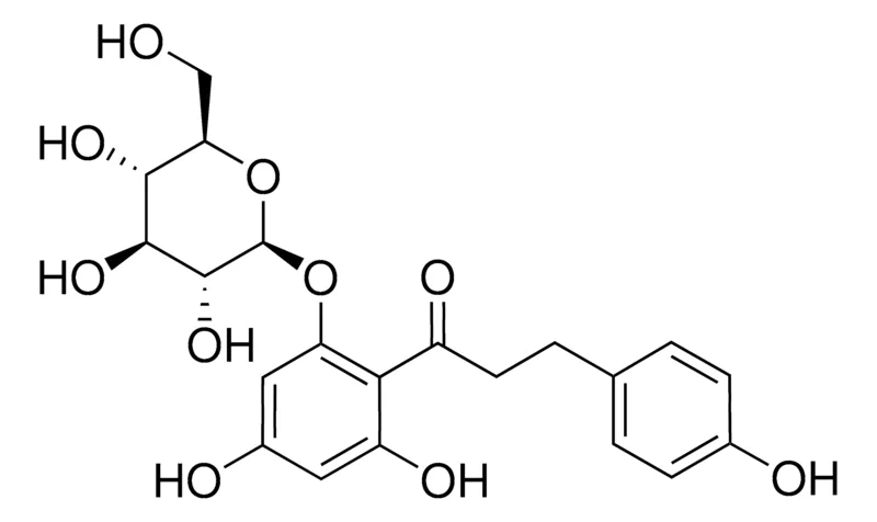 Sigma-Aldrich 根皮苷，phyproof®参考物质