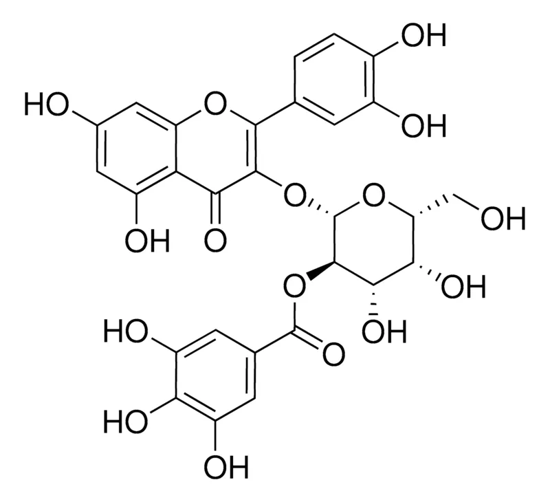 默克Supelco 2′′-Galloylhyperin，phyproof®参考物质