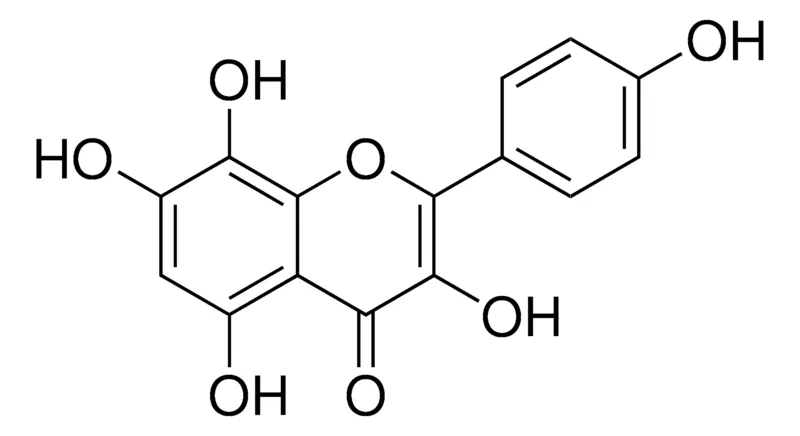 Sigma-Aldrich 草质素,phyproof®参考物质