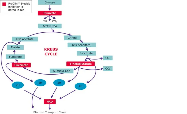 Sigma-Aldrich ProClin™ 300