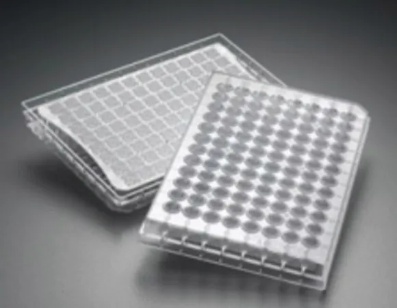 默克密理博 Multiscreen® 96 well Plate, MCE membrane,孔径0.45 μm,非无菌