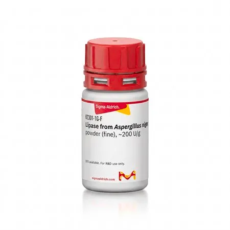 Sigma-Aldrich 脂肪酶 来源于黑曲霉，粉末（细），~200 U/g