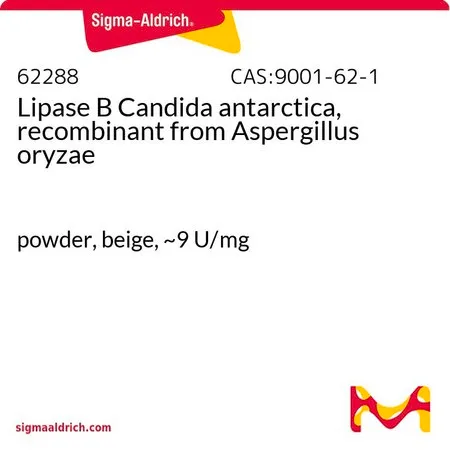 Sigma-Aldrich 重组脂肪酶 B 南极假丝酵母 来源于米曲霉，粉末，米色，~9 U/mg