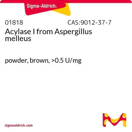 Sigma-Aldrich 酰基转移酶 I 来源于蜂蜜曲霉,棕色粉末,>0.5 U/mg