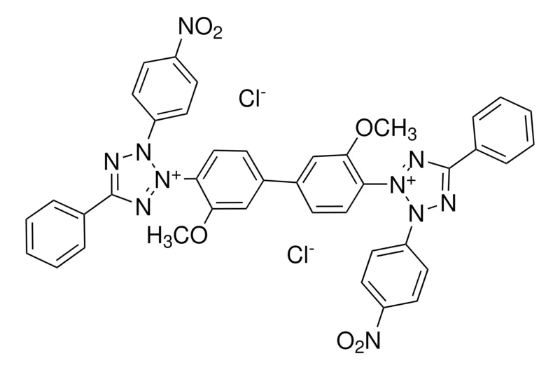 Sigma-Aldrich 氯化四唑氮蓝,电泳级粉末