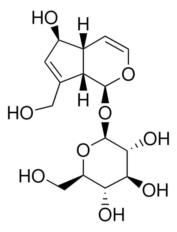 Sigma-Aldrich 桃叶珊瑚苷,一级参考标准物质