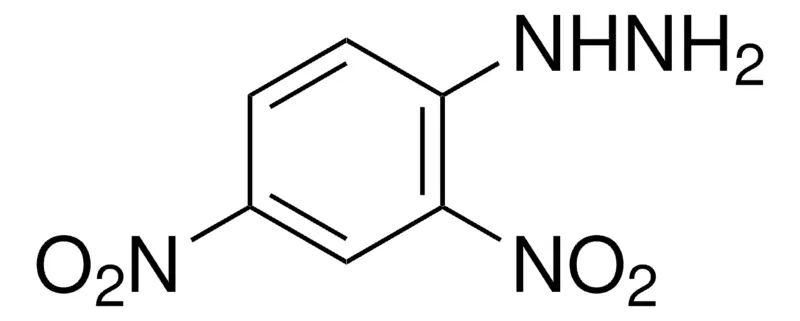 Sigma-Aldrich 2,4-二硝基苯肼，试剂级，97%，适用于分析测试