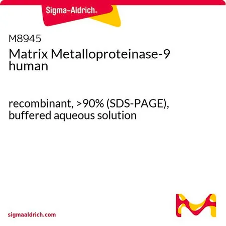 Sigma-Aldrich 基质金属蛋白酶-9 人，重组，>90%（SDS-PAGE），缓冲水溶液