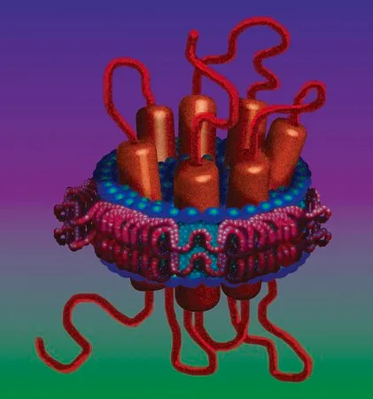 Sigma-Aldrich 膜支架蛋白 1E3D1,重组体,在大肠杆菌中表达