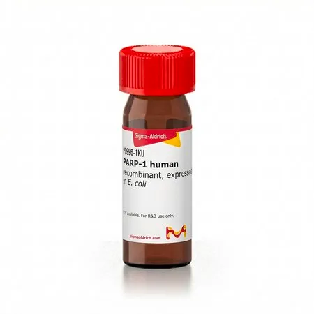 Sigma-Aldrich PARP-1 人,重组体,在大肠杆菌中表达