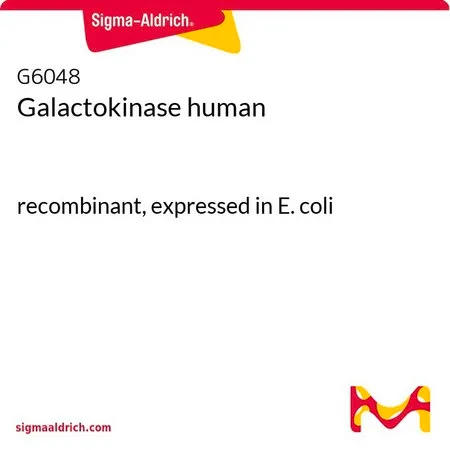 Sigma-Aldrich 半乳糖激酶 人,重组体,在大肠杆菌中表达