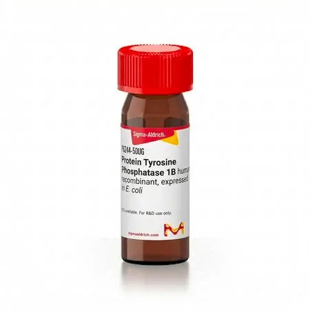 Sigma-Aldrich 蛋白酪氨酸磷酸酶1B 人,重组体,在大肠杆菌中表达