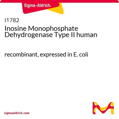 Sigma-Aldrich Inosine Monophosphate Dehydrogenase Type II human,重组体,在大肠杆菌中表达