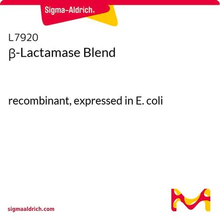 Sigma-Aldrich β-Lactamase Blend,重组体,在大肠杆菌中表达