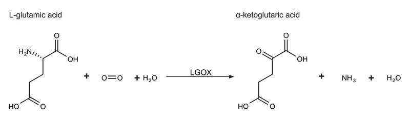 Sigma-Aldrich L -谷氨酸氧化酶 来源于链霉菌 属,重组体,在大肠杆菌中表达
