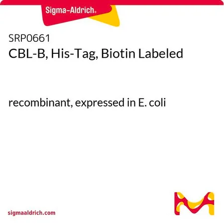 Sigma-Aldrich CBL-B, His-Tag, Biotin Labeled,重组体,在大肠杆菌中表达