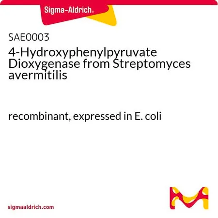 Sigma-Aldrich 4-Hydroxyphenylpyruvate Dioxygenase from Streptomyces avermitilis,重组体,在大肠杆菌中表达