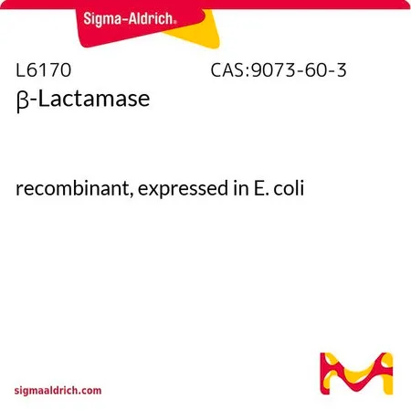 Sigma-Aldrich β-内酰胺酶,重组体,在大肠杆菌中表达