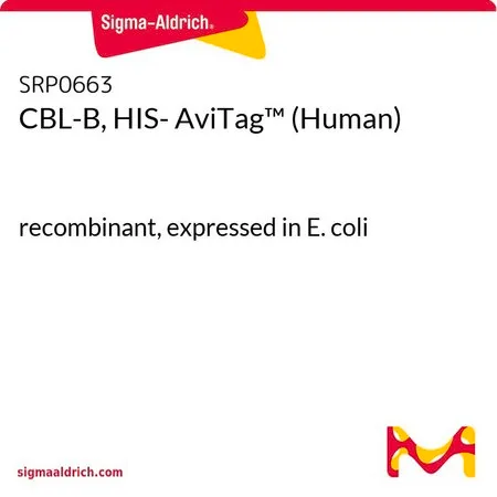 Sigma-Aldrich CBL-B, HIS- AviTag™ (Human),重组体,在大肠杆菌中表达