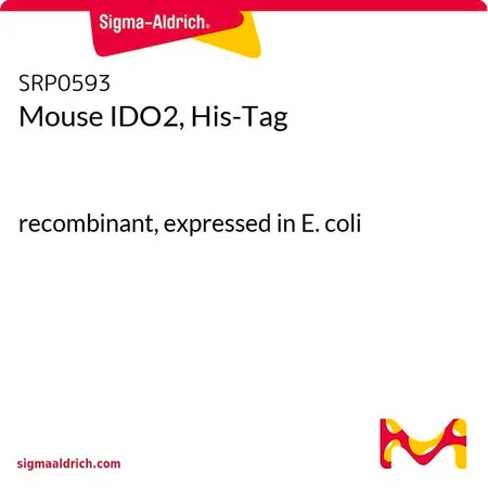 Sigma-Aldrich Mouse IDO2, His-Tag,重组体,在大肠杆菌中表达