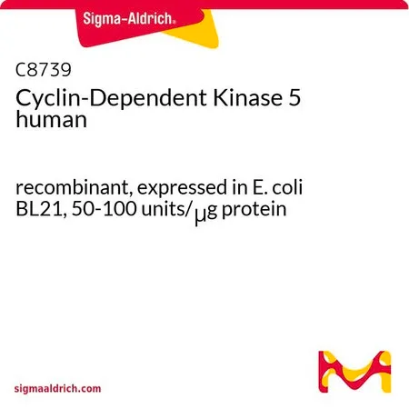 Sigma-Aldrich Cyclin-Dependent Kinase 5 human,重组体,在大肠杆菌BL 21中表达,50-100 U/μg蛋白