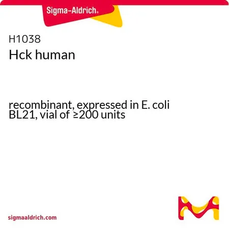 Sigma-Aldrich Hck human,重组体,在大肠杆菌BL 21中表达,小瓶≥200 U
