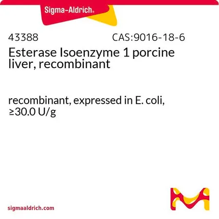 Sigma-Aldrich Esterase Isoenzyme 1 porcine liver, recombinant,重组体,在大肠杆菌中表达,≥30.0U/g