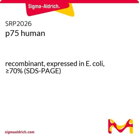 Sigma-Aldrich p75 human,重组体,在大肠杆菌中表达,≥70%(SDS-PAGE)