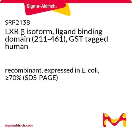 Sigma-Aldrich LXR β isoform, ligand binding domain (211-461), GST tagged human,重组体,在大肠杆菌中表达,≥70%(SDS-PAGE)