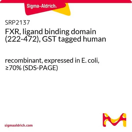 Sigma-Aldrich FXR, ligand binding domain (222-472), GST tagged human，重组体，在大肠杆菌中表达，≥70%（SDS-PAGE）