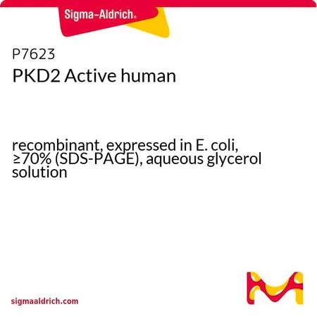 Sigma-Aldrich PKD2 Active human,重组体,在大肠杆菌中表达,≥70%(SDS-PAGE),甘油水溶液