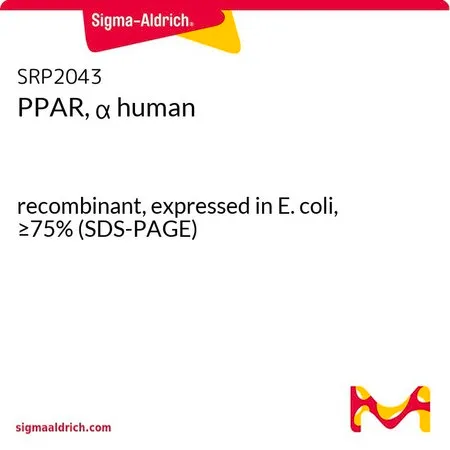 Sigma-Aldrich PPAR, α human,重组体,在大肠杆菌中表达,≥75%(SDS-PAGE)