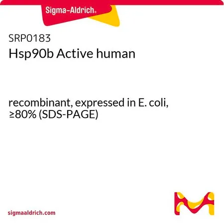 Sigma-Aldrich Hsp90b Active human,重组体,在大肠杆菌中表达,≥80%(SDS-PAGE)
